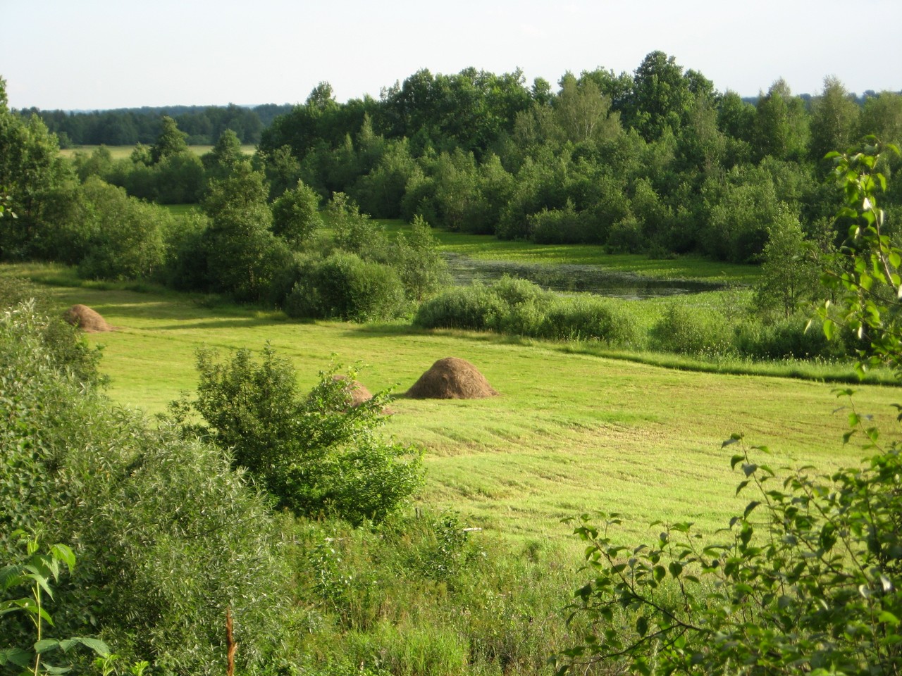 Герб.